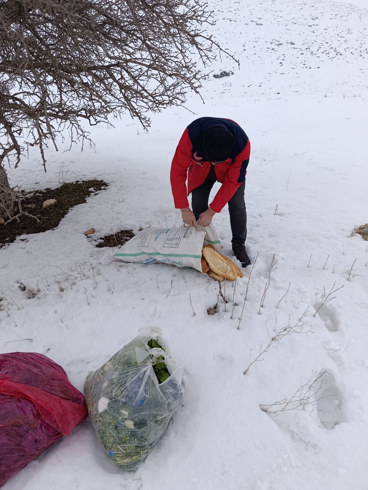 Afşin’de Yaban Hayatı İçin Yemleme Ve Kuduz Aşısı Çalışması Yapıldı (3)