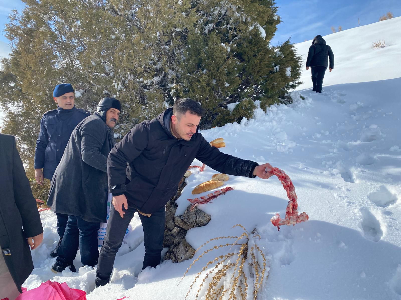 Afşin’de Yaban Hayatı İçin Yemleme Ve Kuduz Aşısı Çalışması Yapıldı (4)