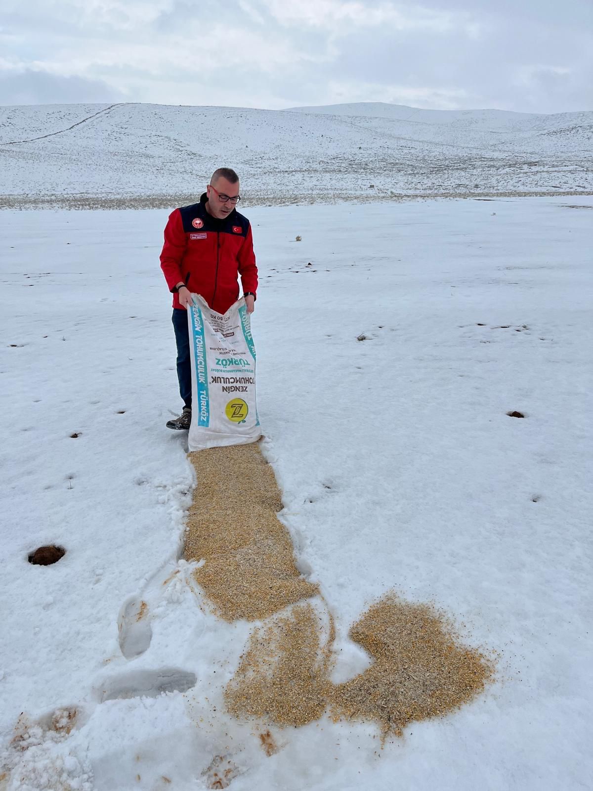 Afşin’de Yaban Hayatı İçin Yemleme Ve Kuduz Aşısı Çalışması Yapıldı (5)