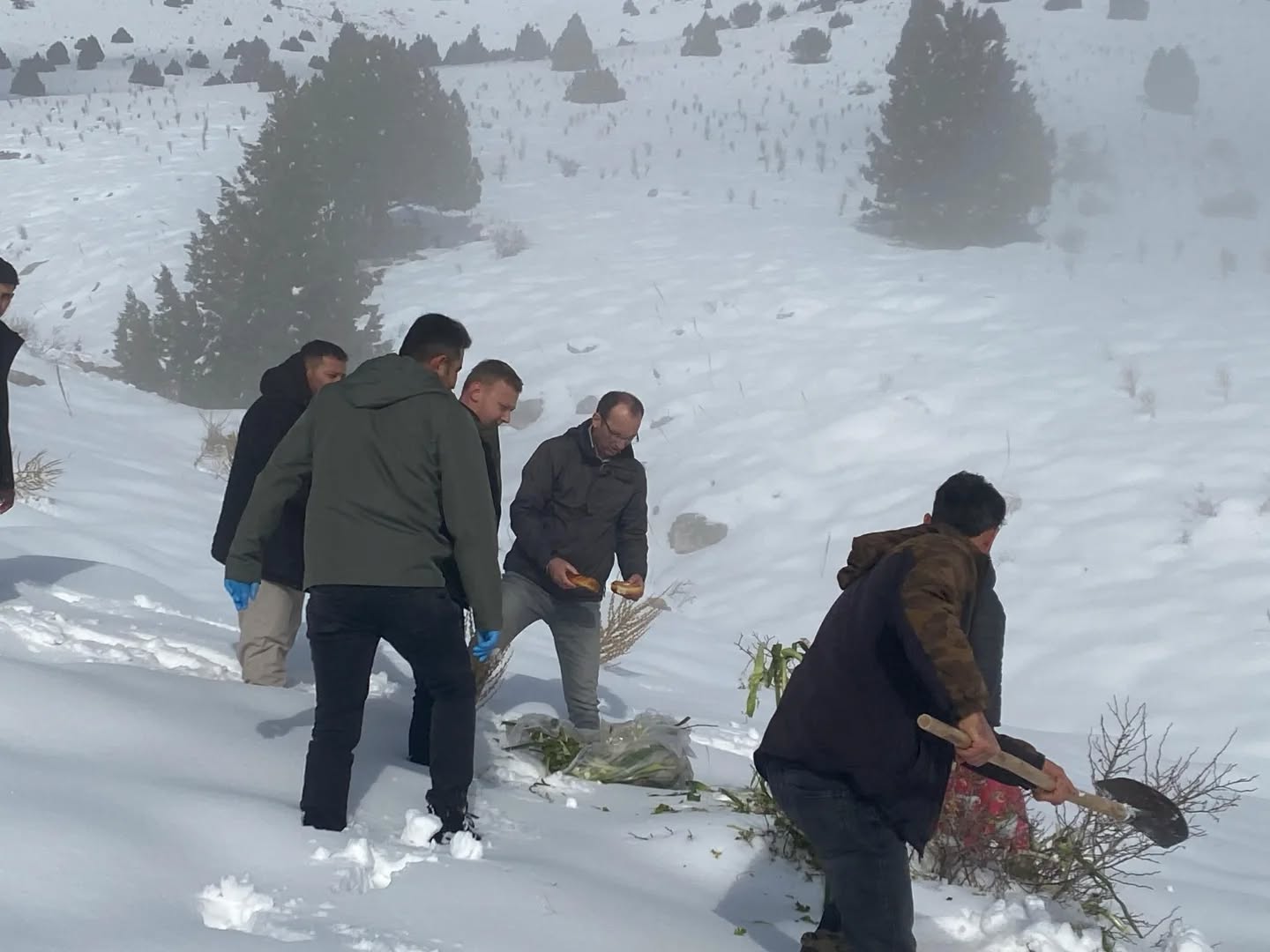 Afşin’de Yaban Hayatı İçin Yemleme Ve Kuduz Aşısı Çalışması Yapıldı (6)-1