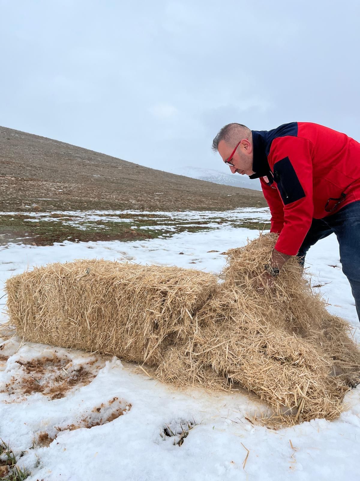 Afşin’de Yaban Hayatı İçin Yemleme Ve Kuduz Aşısı Çalışması Yapıldı (8)
