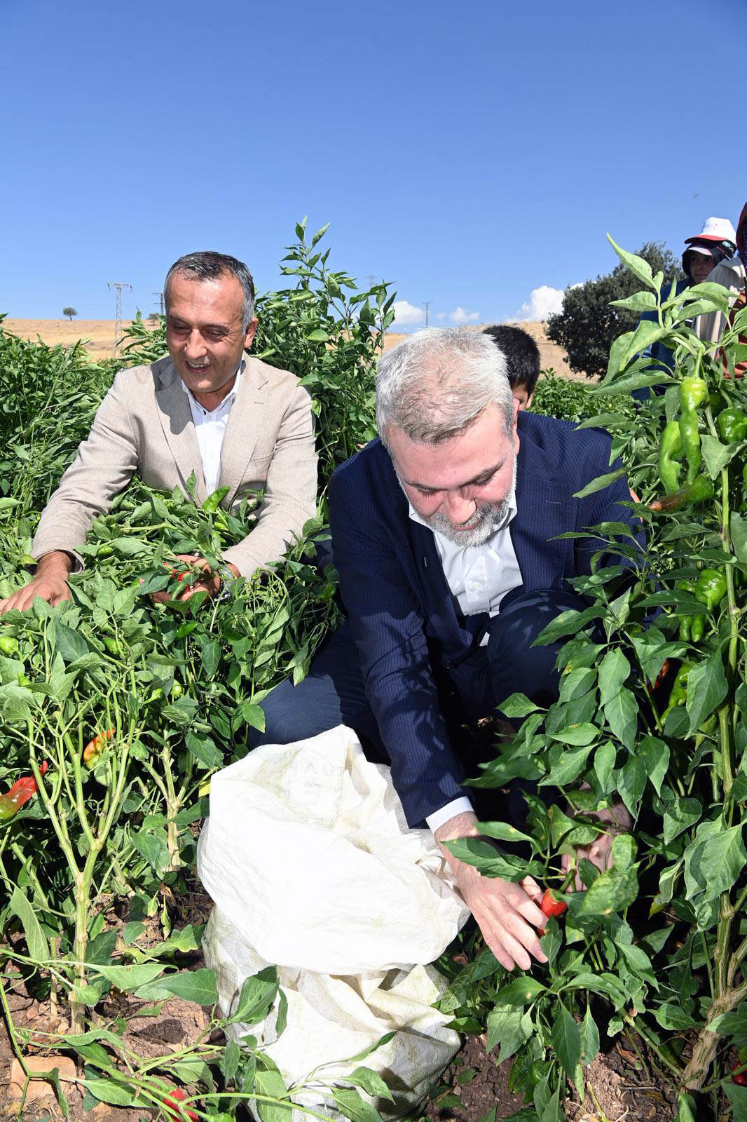 Kahramanmaraş Büyükşehir’den 2025’Te Çiftçiye 100 Milyonluk Destek (3)