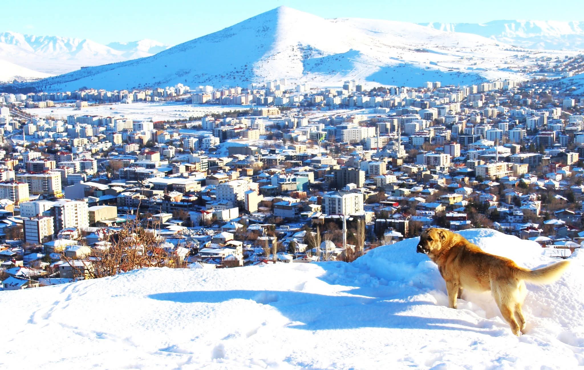 Kartpostallık Manzaralar (2)