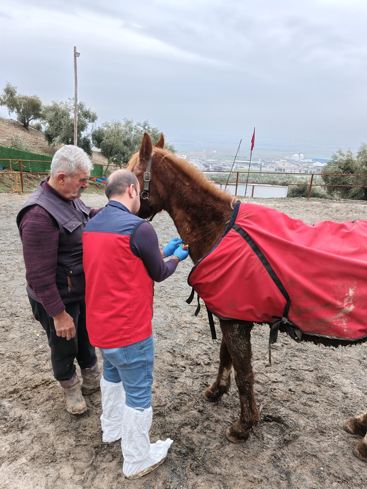 Veteriner Hekimler Sahada