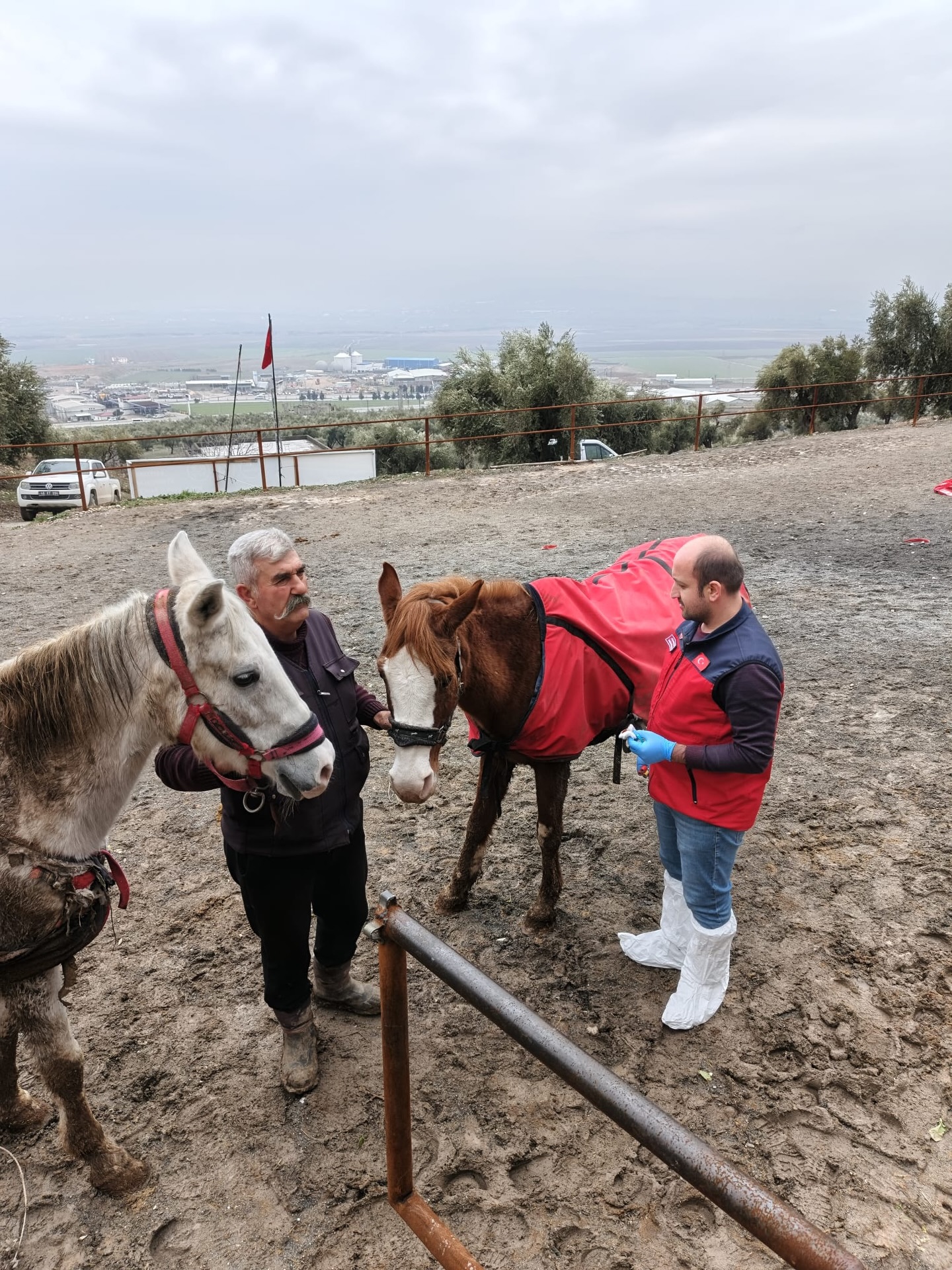 Veteriner Hekimler Sahada2