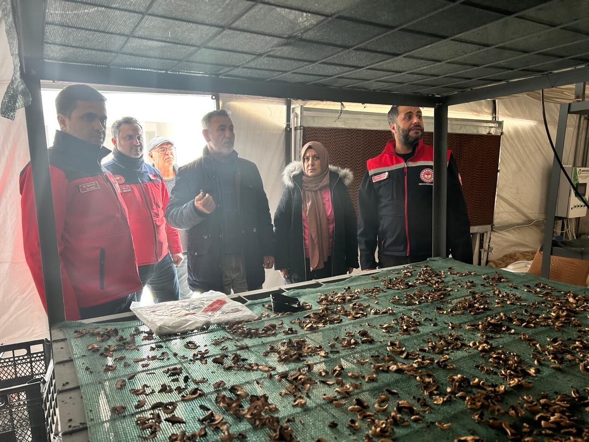 Yoğun Kar Yağışı Türkoğlu’nda Seralara Zarar Verdi