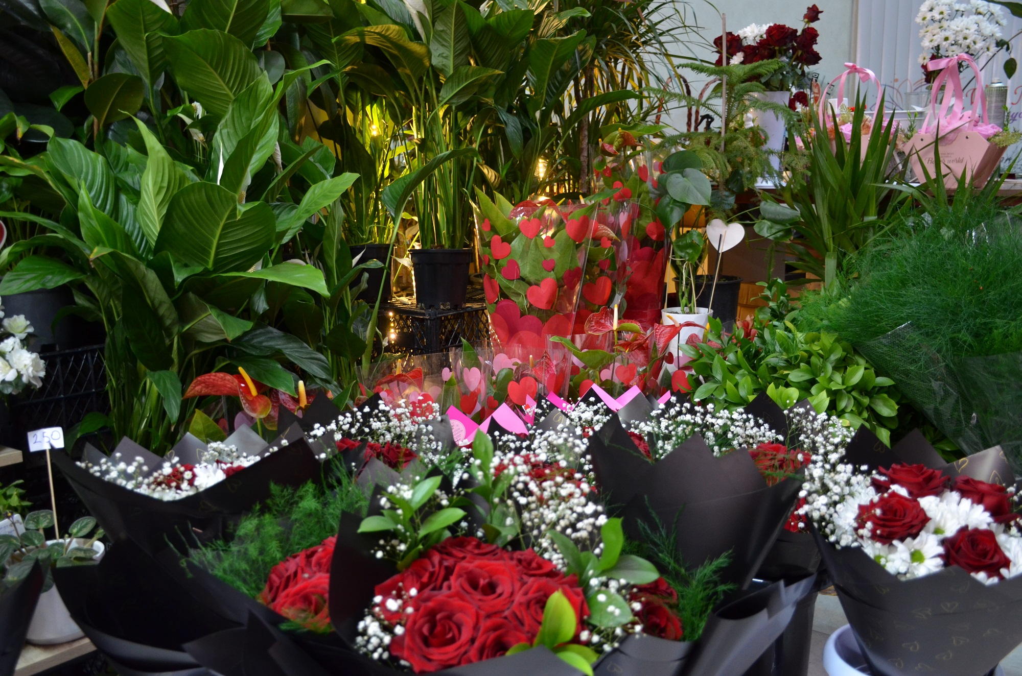 Afşin’de 14 Şubat Hareketliliği Çiçekçilerde Yoğun Mesai (3)