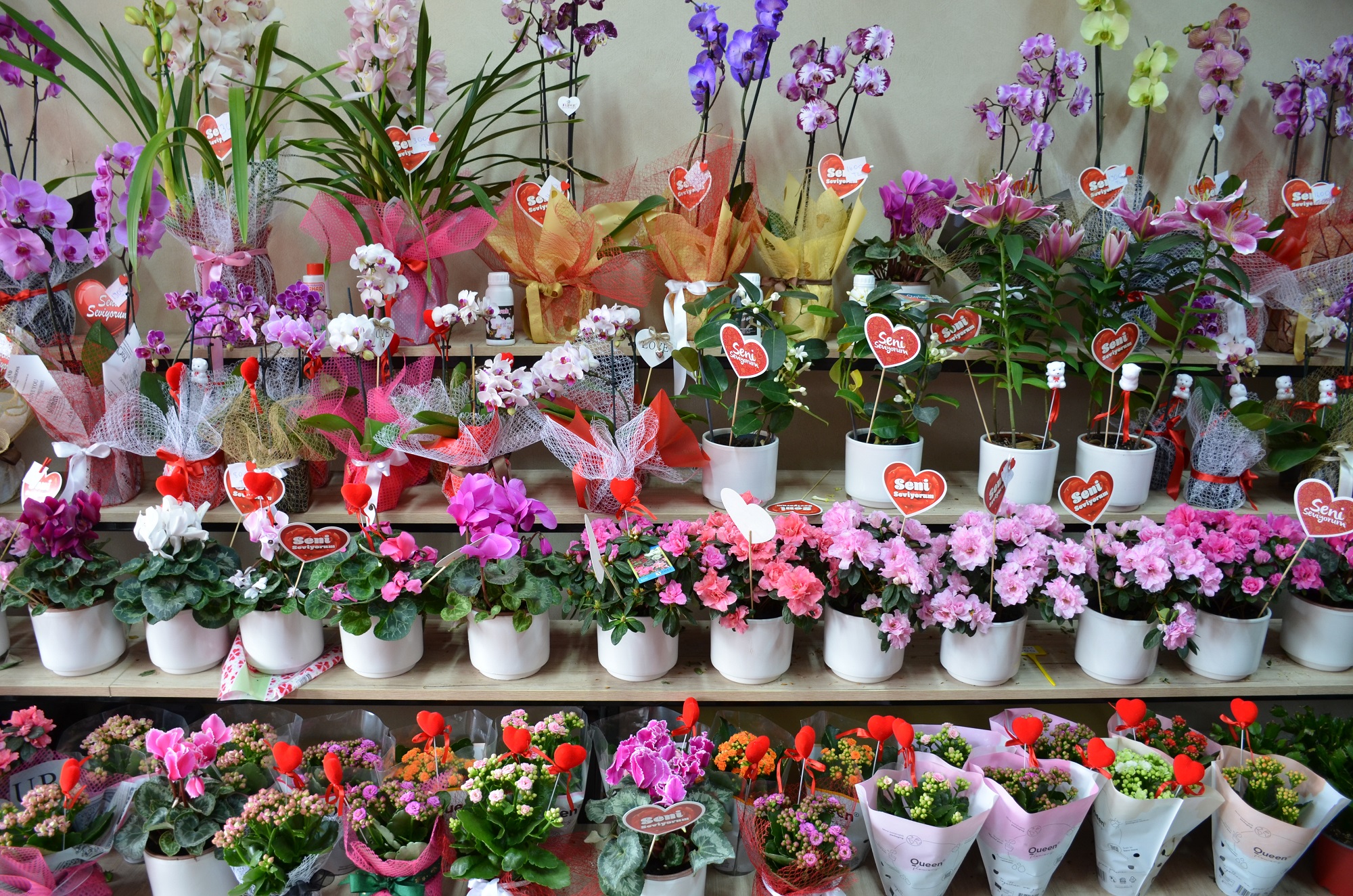 Afşin’de 14 Şubat Hareketliliği Çiçekçilerde Yoğun Mesai (4)