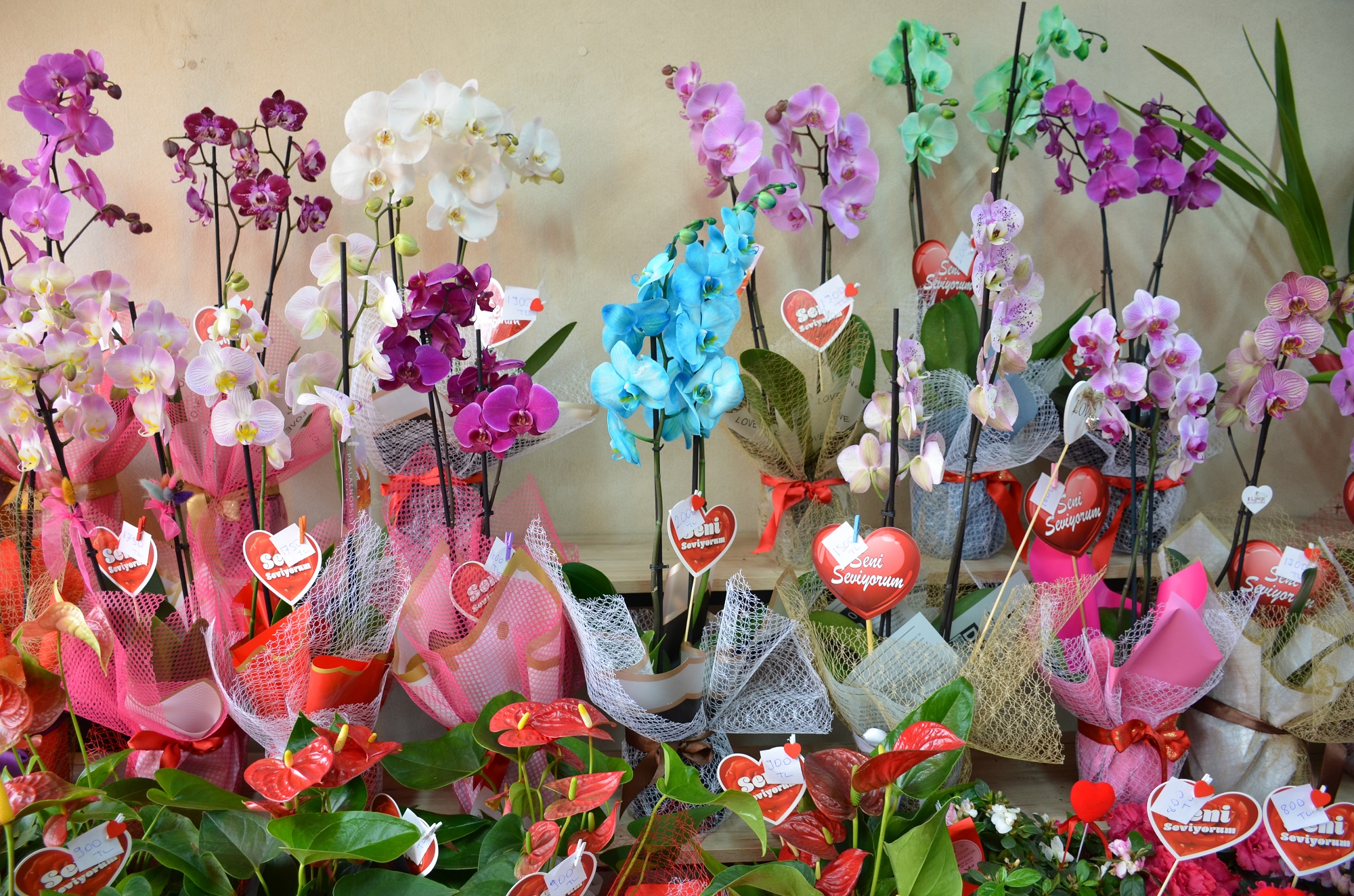 Afşin’de 14 Şubat Hareketliliği Çiçekçilerde Yoğun Mesai (9)