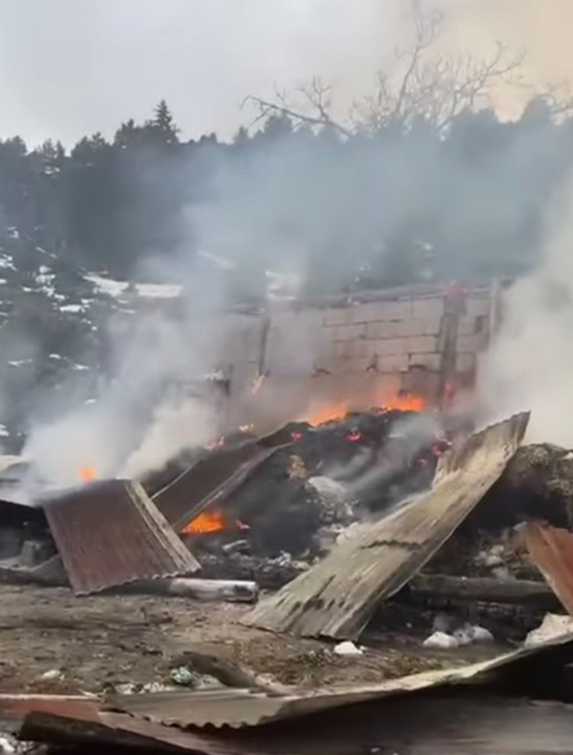 Ahır Yangını Paniğe Neden Oldu (2)