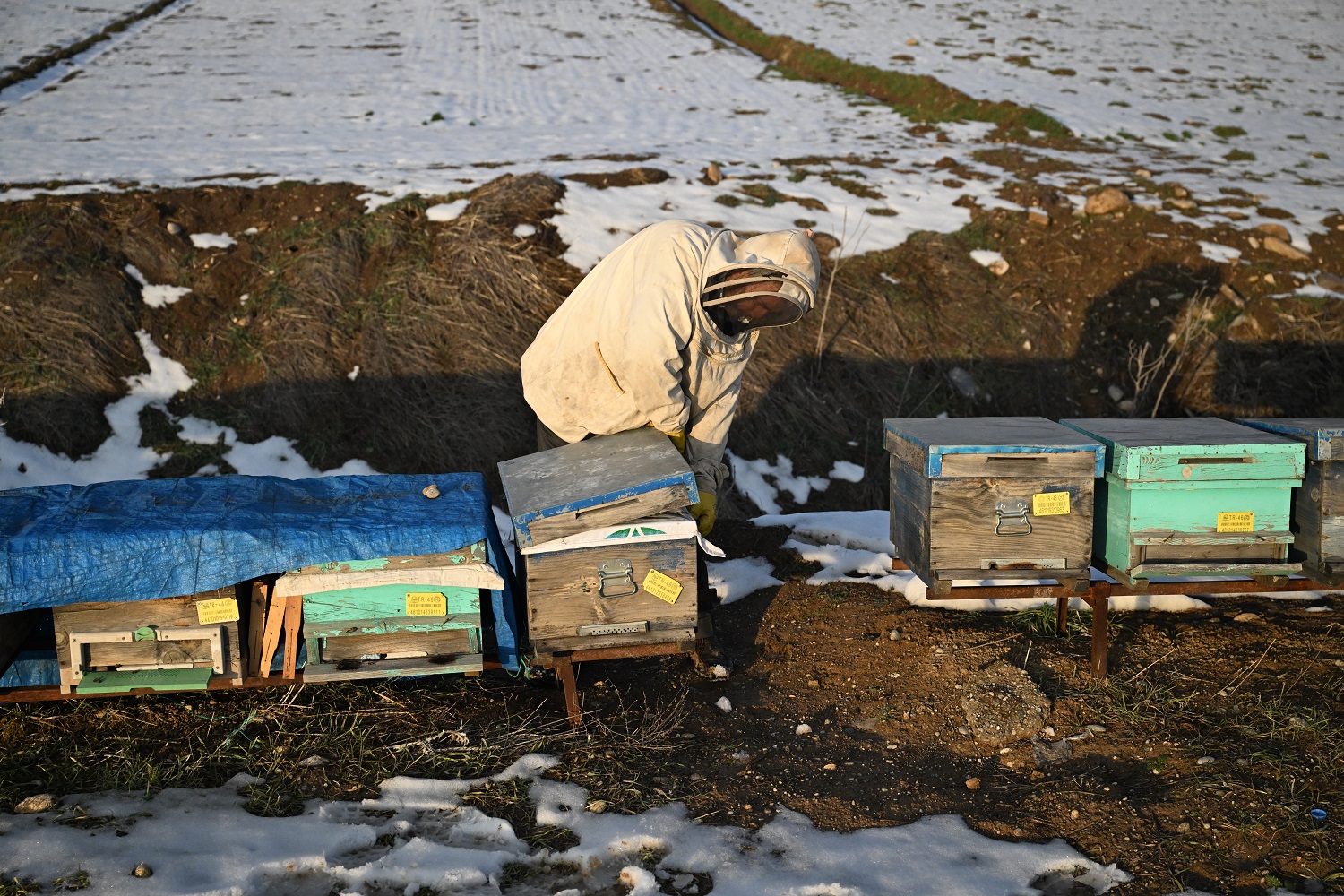Depremde Arılarını Kaybeden Arıcı, Devlet Desteğiyle Üretimini Sürdürdü (5)