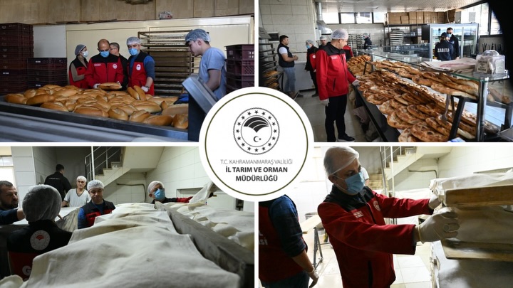 Gıda Denetimleri (2)