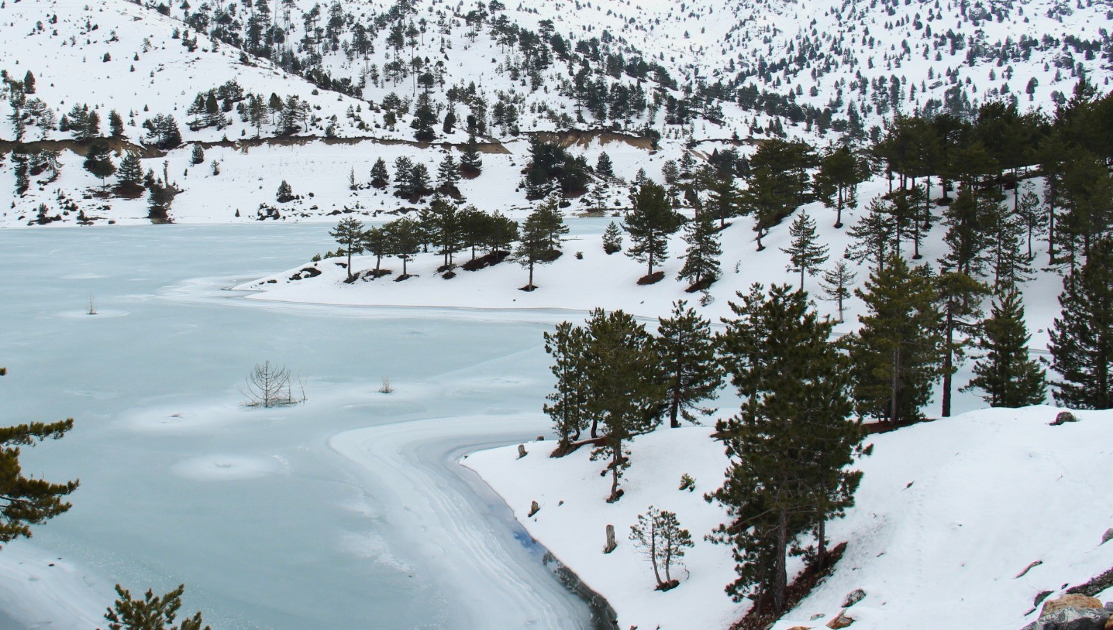 Kahramanmaraş'ta Baraj Ve Göletler Buz Tuttu (1)