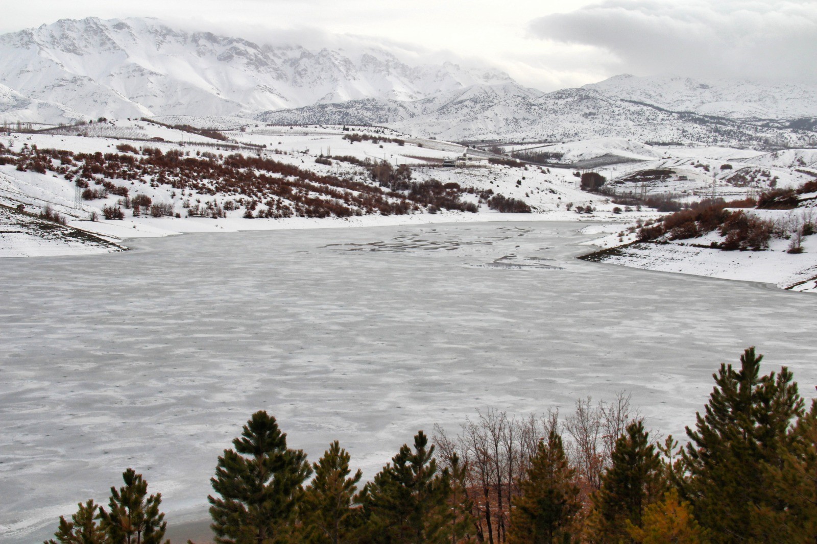 Kahramanmaraş'ta Baraj Ve Göletler Buz Tuttu (4)