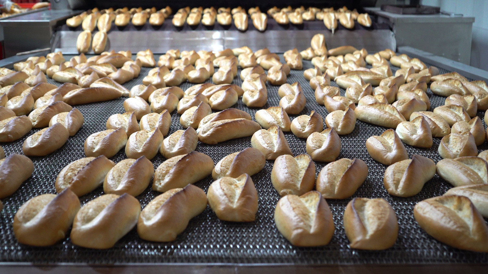 Kahramanmaraş’ta Halk Ekmek’e Zam Yok Ekmek 7,5 Tl 3