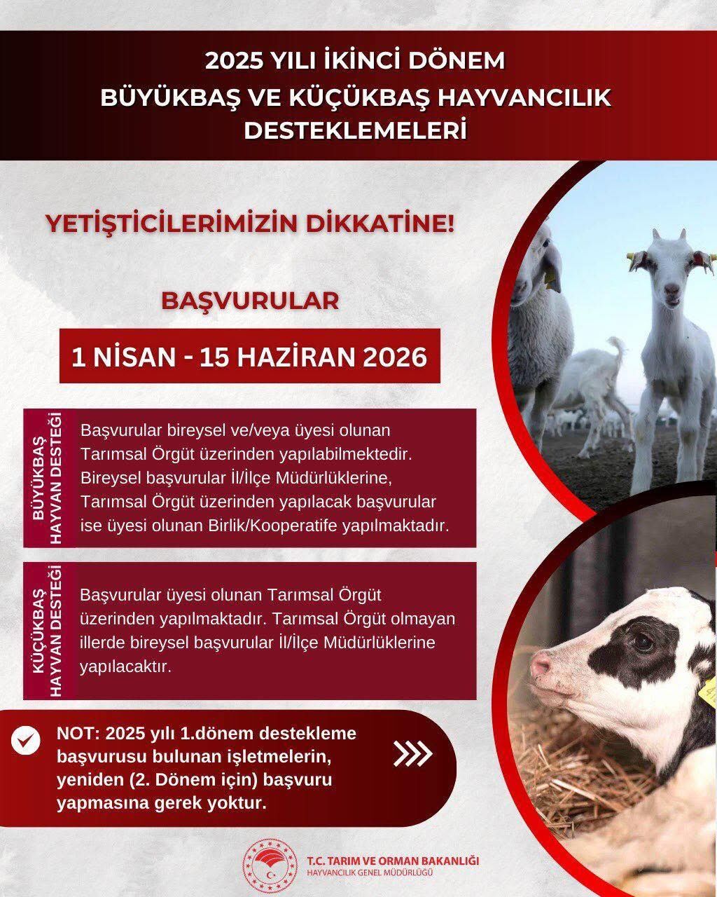 Afşin’de 2.Dönem Hayvancılık Destekleme Başvuruları Başlıyor
