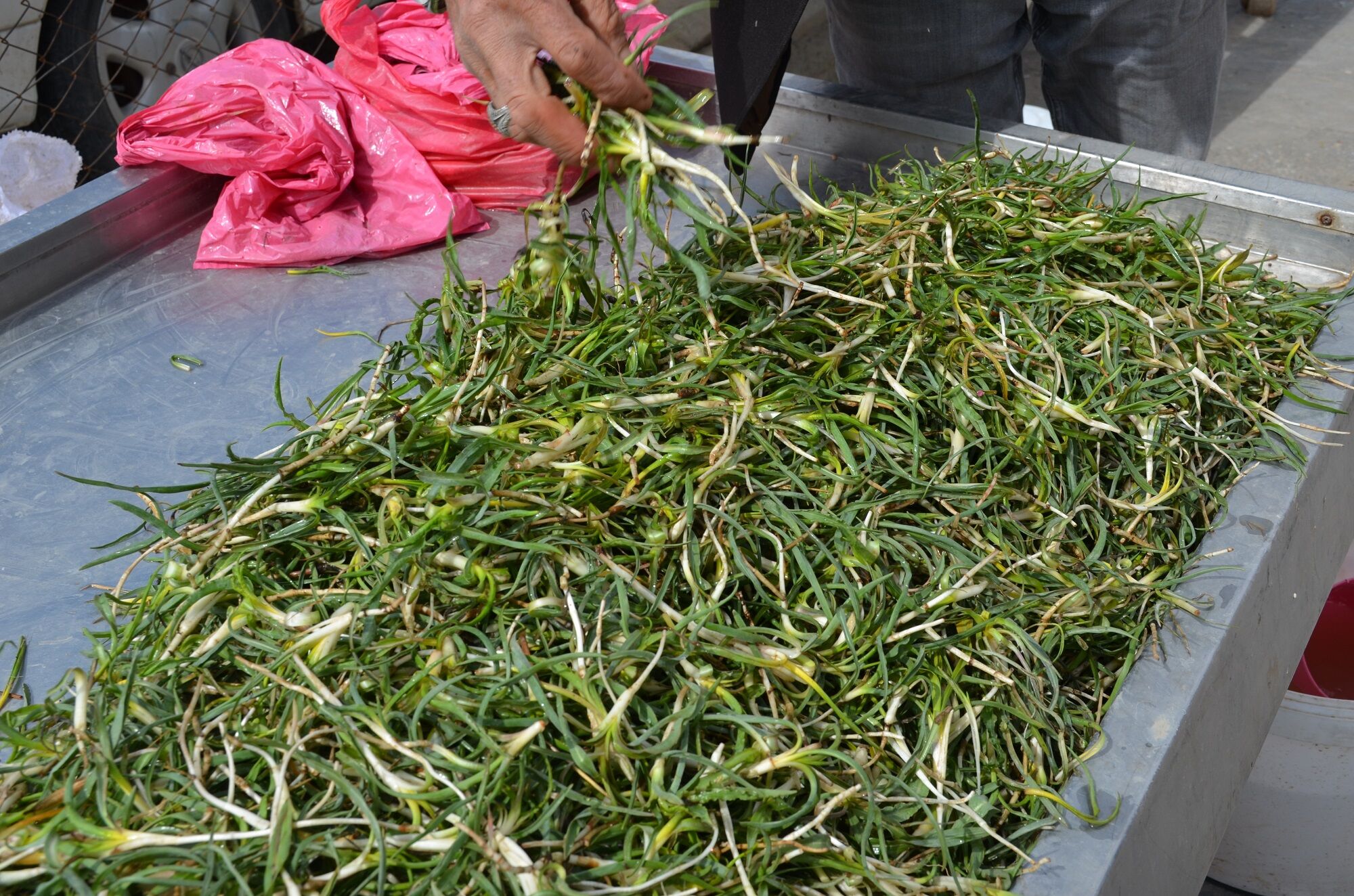Afşin’de Yemlik Sezonu Açıldı Fiyatlar Cep Yakıyor (6)