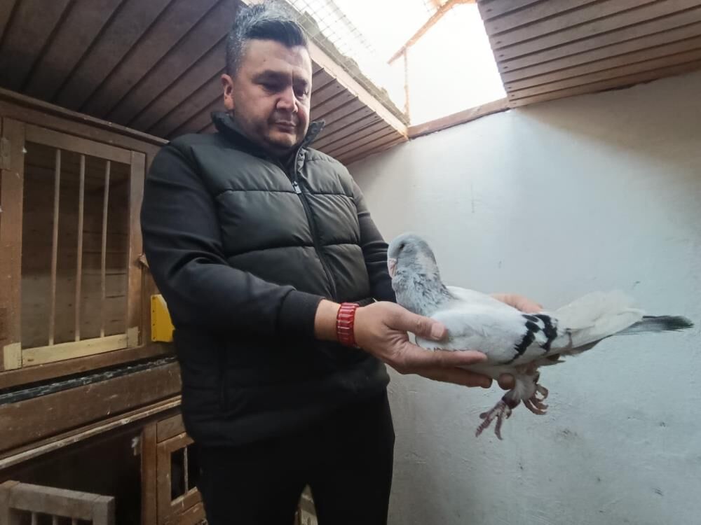 Memurluğu Bıraktı, Güvercinleri Otomobil Fiyatına Satıyor! 3