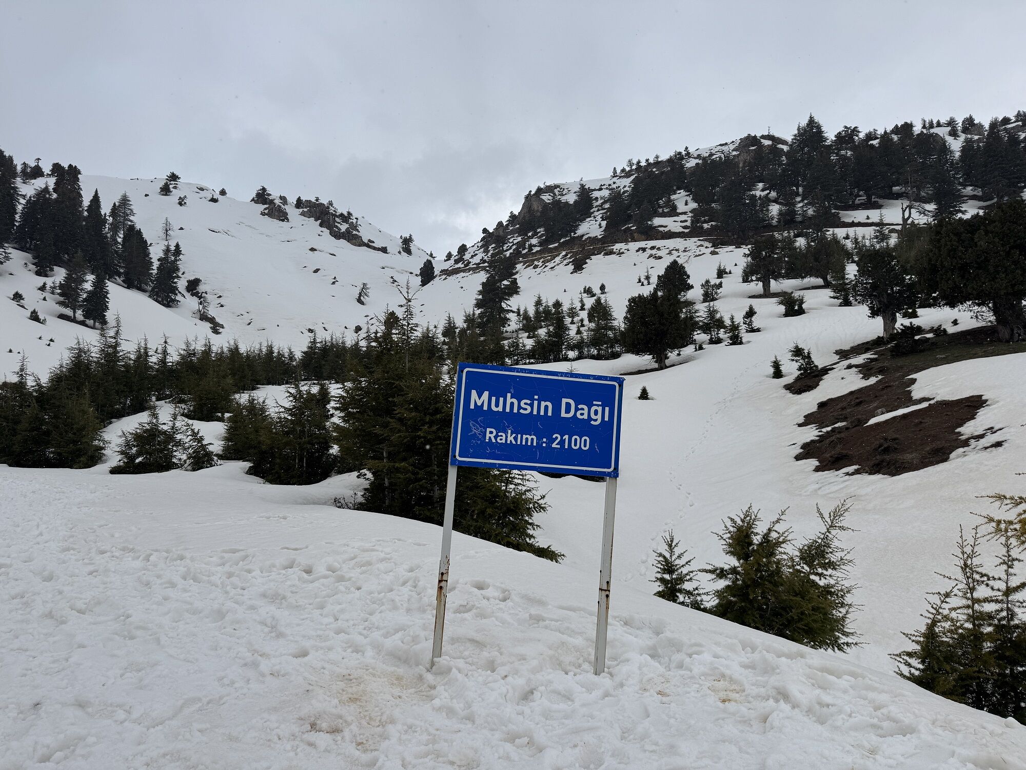 Muhsin Yazıcıoğlu, Vefatının 17. Yılında Muhsin Dağı’nda Anıldı (8)
