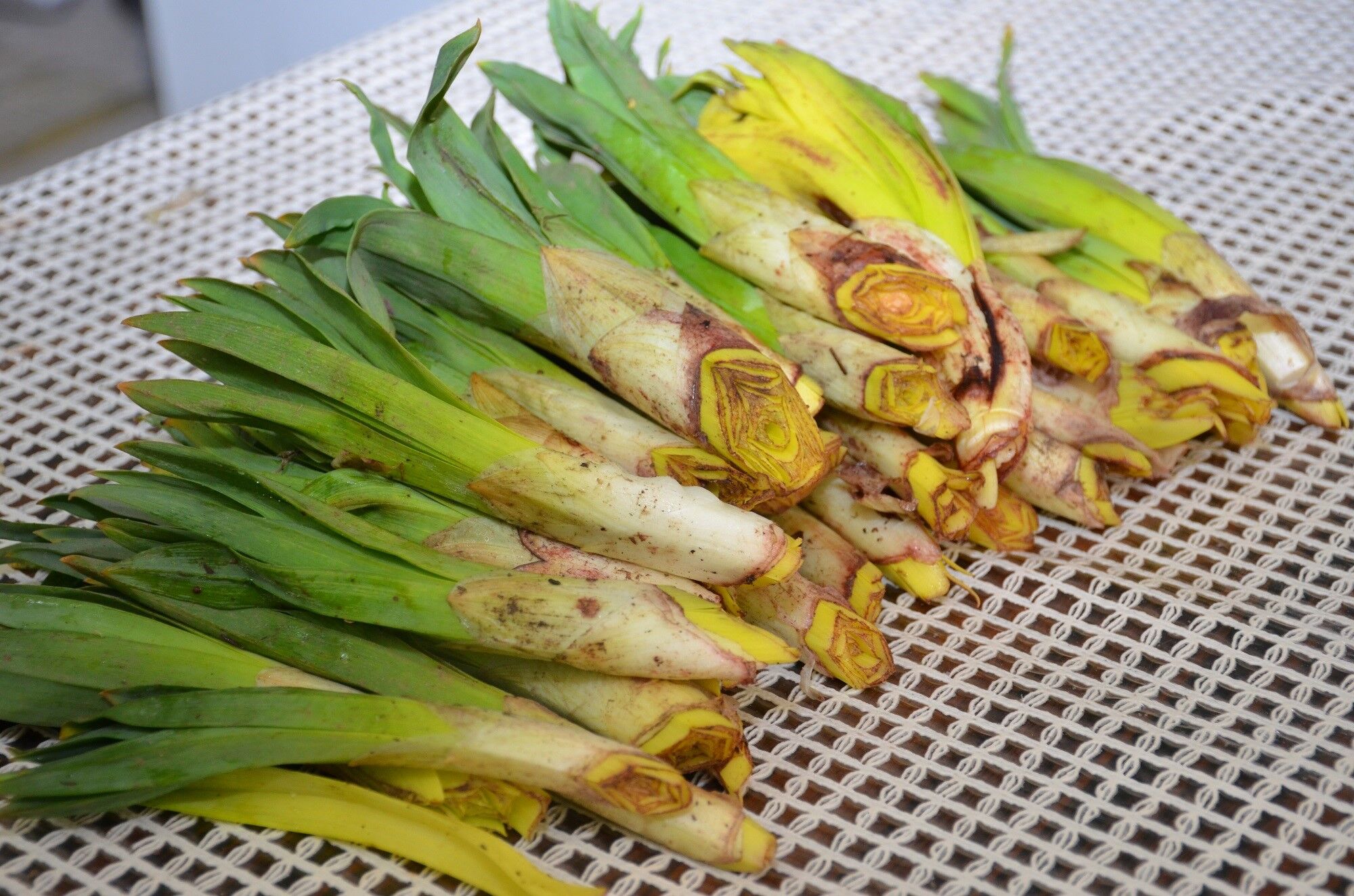 Afşin’de Çiriş Kömbesi Sezonu Açıldı Yöresel Lezzete Yoğun İlgi (2)