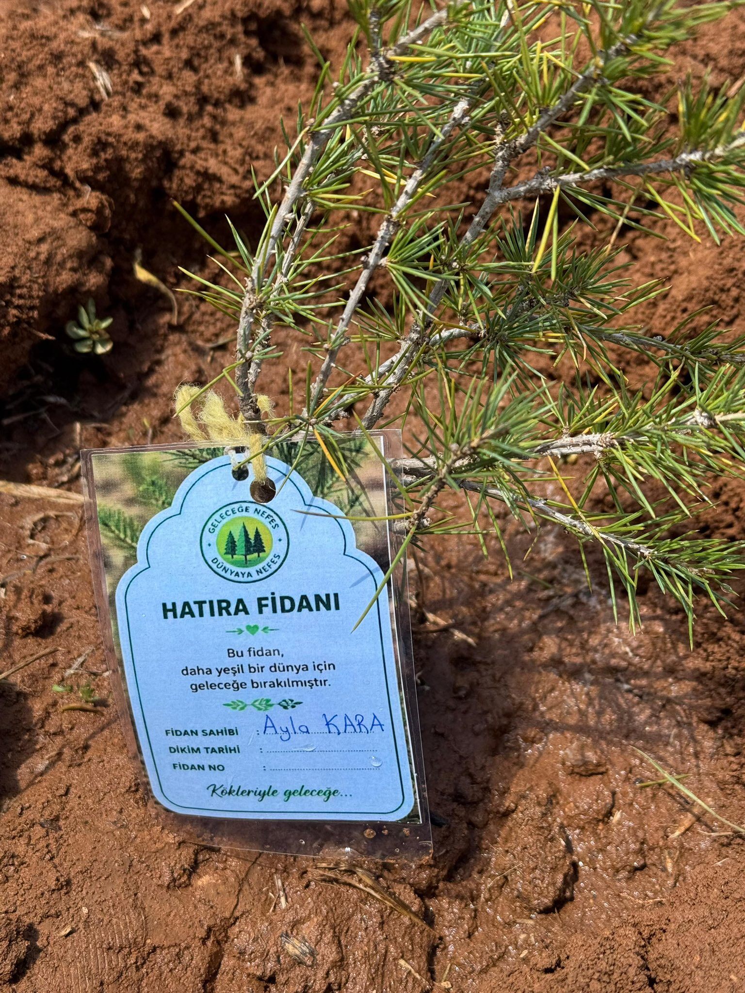 Afşin’de Ülkü Ocakları Şehit Öğretmen Ve Öğrencileri Andı5