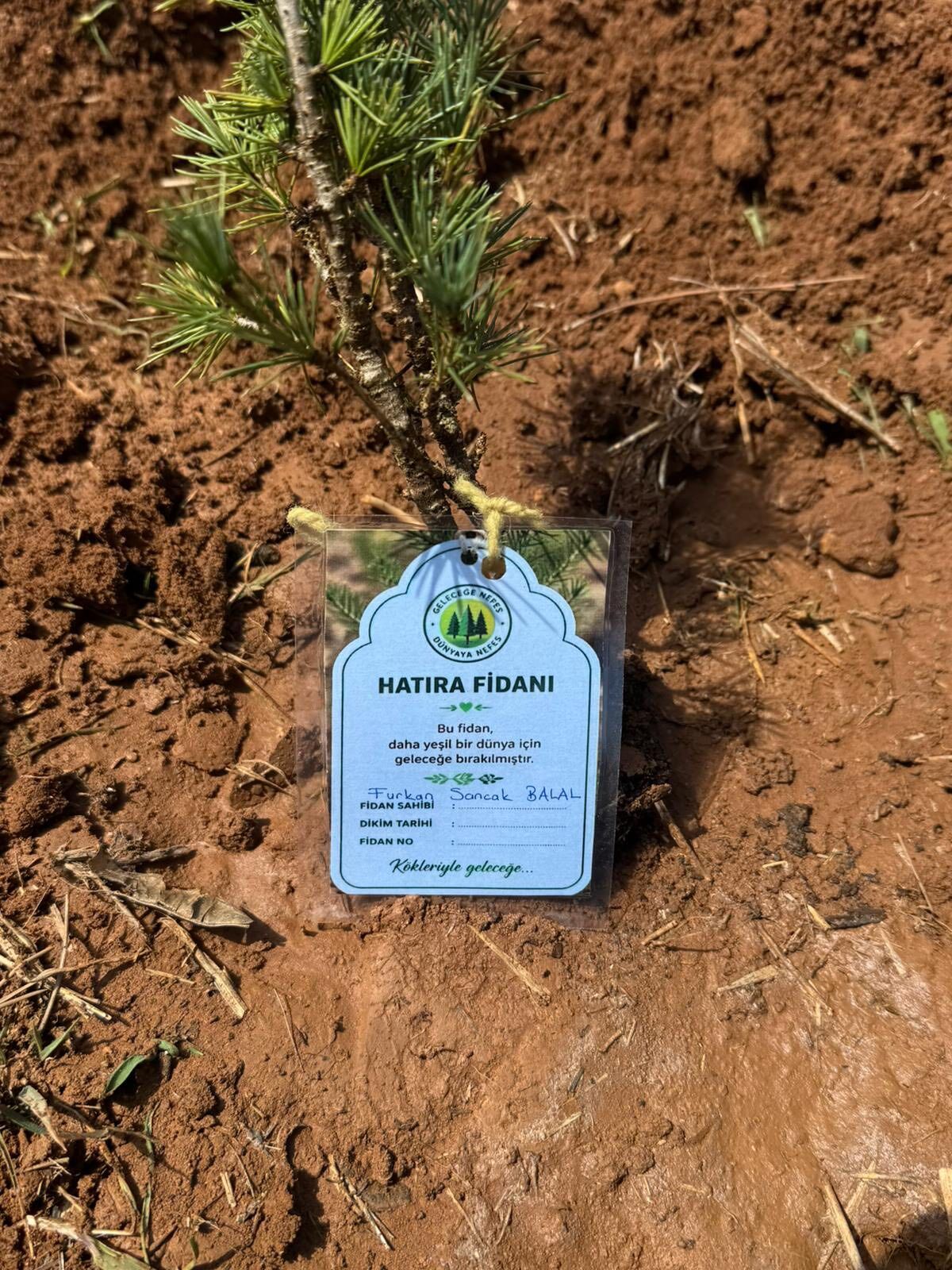 Afşin’de Ülkü Ocakları Şehit Öğretmen Ve Öğrencileri Andı6