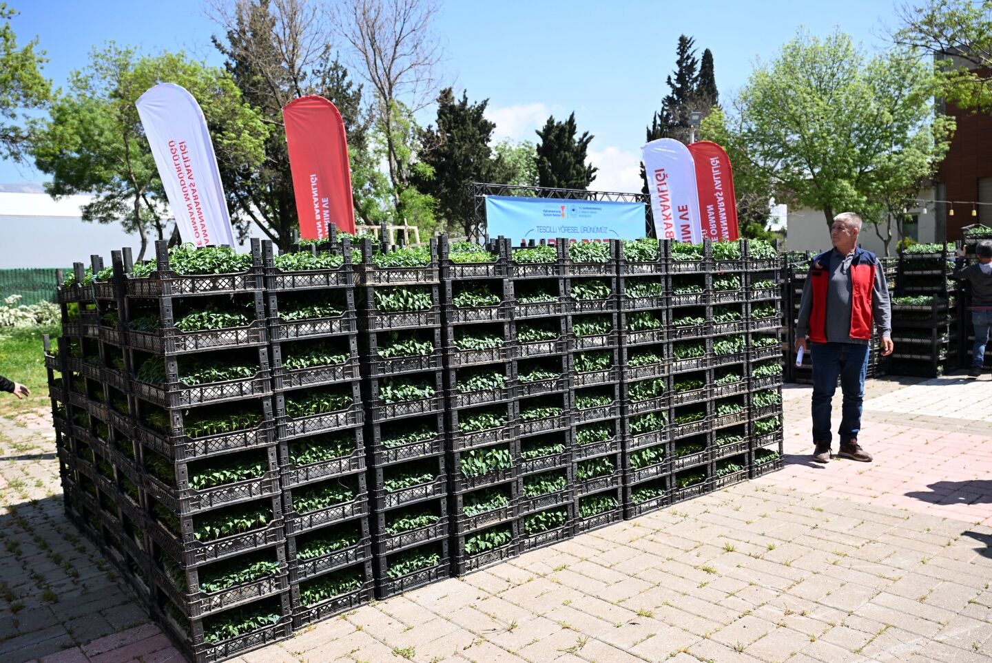 Maraş Biberi Üretimine Büyük Destek3