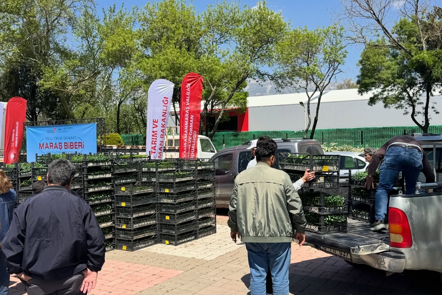 Maraş Biberi Üretimine Büyük Destek4