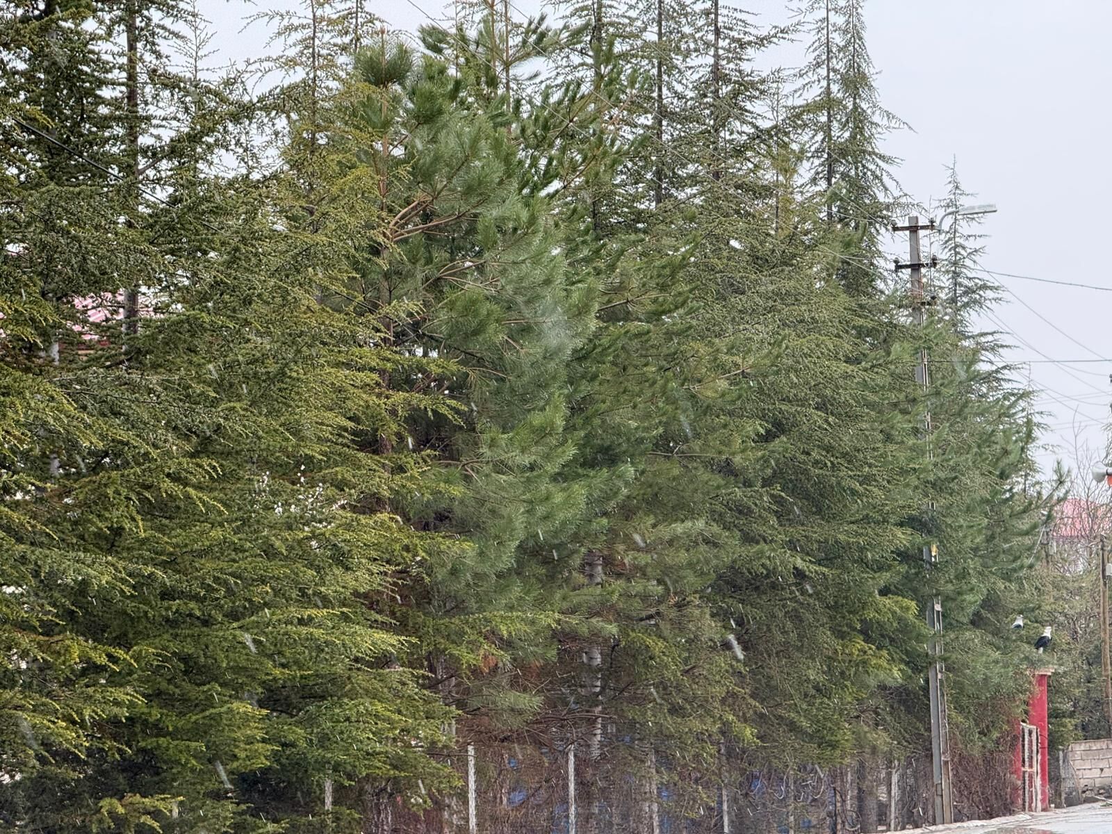 Nisan Sürprizi Afşin Beyaza Büründü