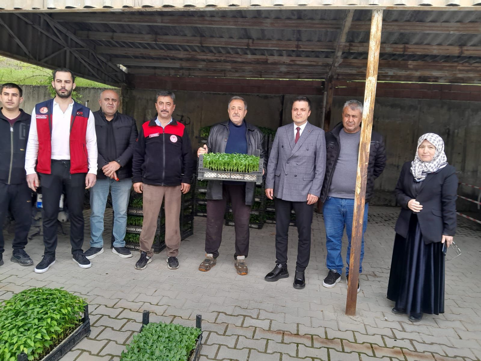 Afşin’de Çiftçilere 30 Bin Maraş Biberi Fidesi Dağıtıldı (2)