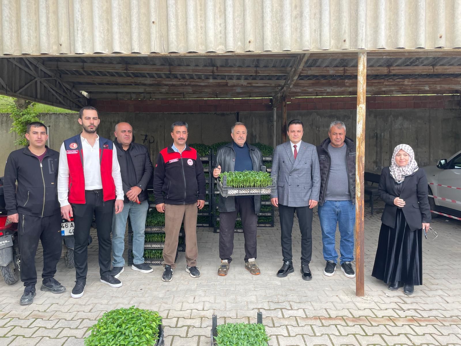 Afşin’de Çiftçilere 30 Bin Maraş Biberi Fidesi Dağıtıldı