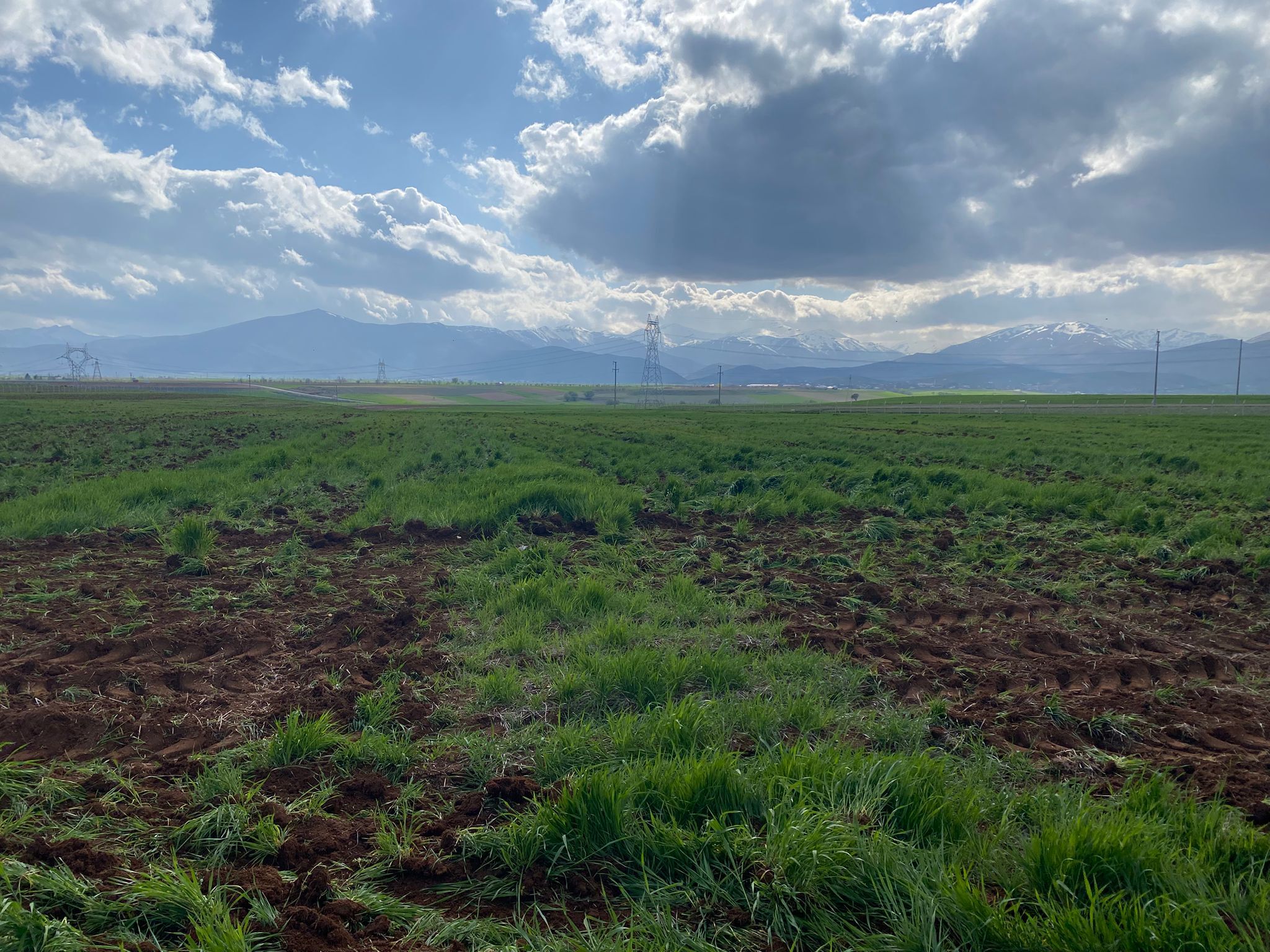Afşin’de Mera İşgaline Müdahale Edildi (1)