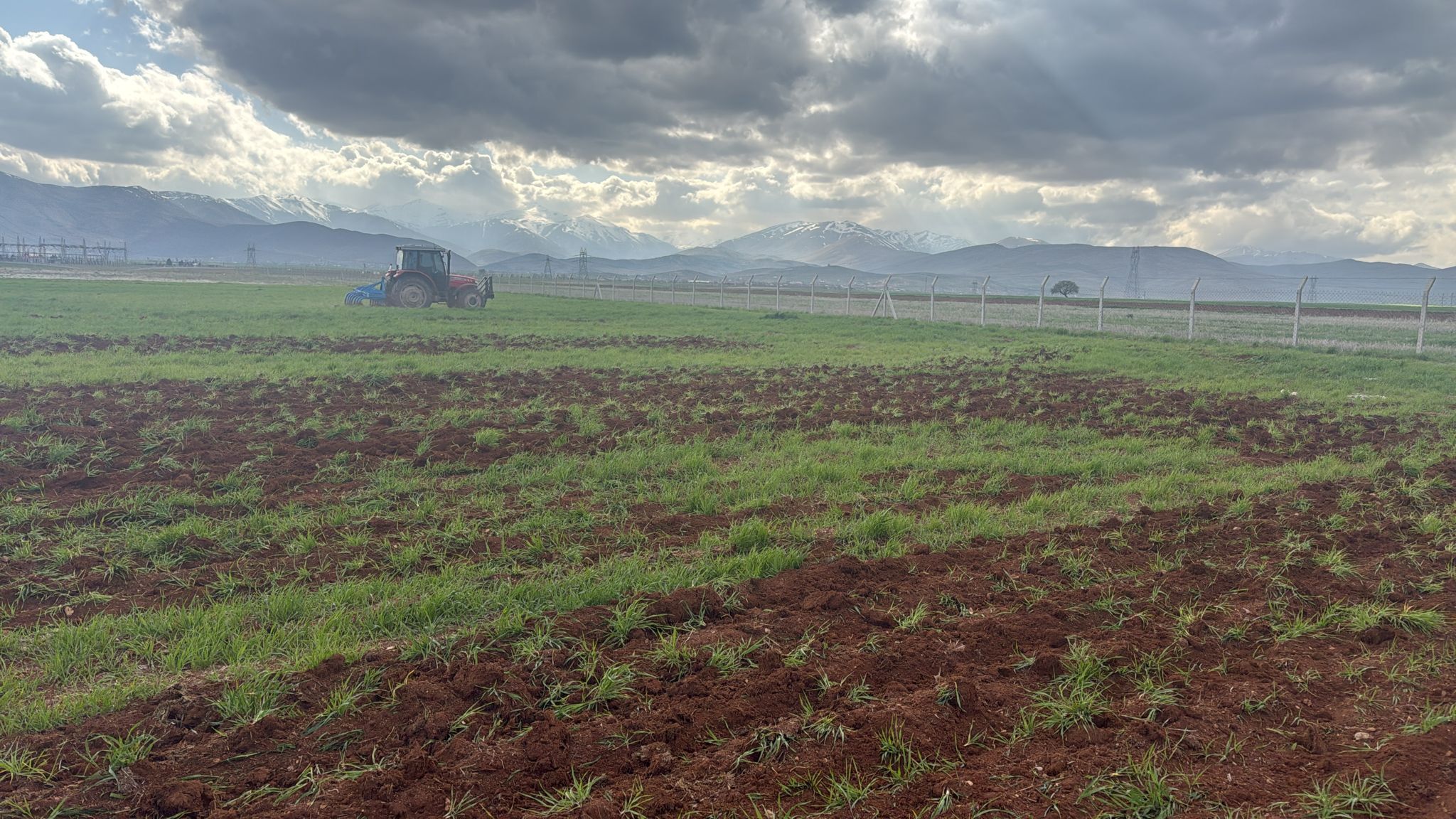 Afşin’de Mera İşgaline Müdahale Edildi (2)