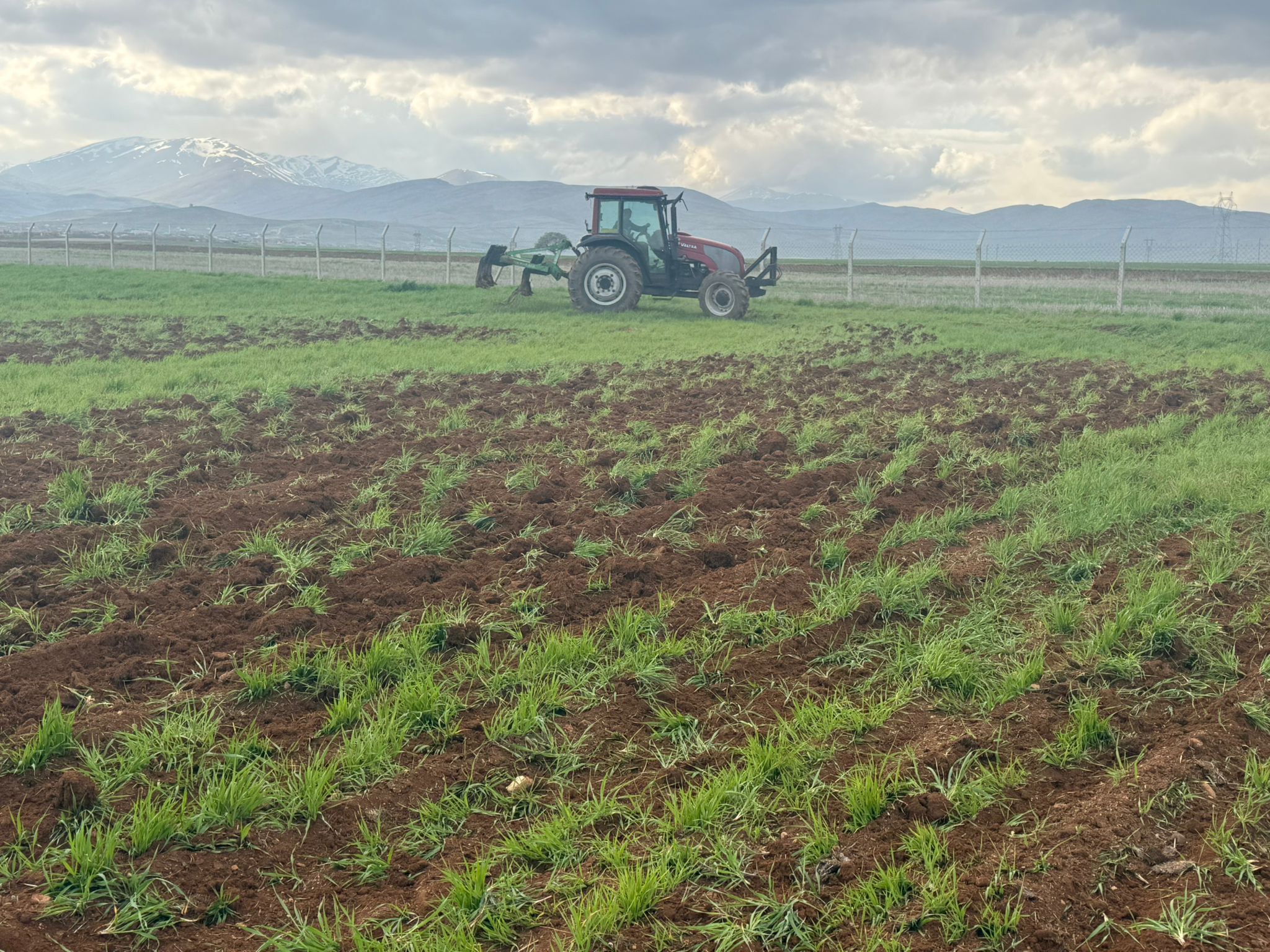 Afşin’de Mera İşgaline Müdahale Edildi (4)
