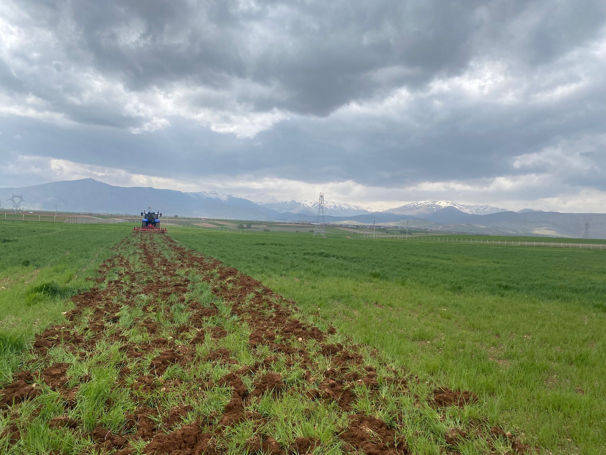 Afşin’de Mera İşgaline Müdahale Edildi (8)