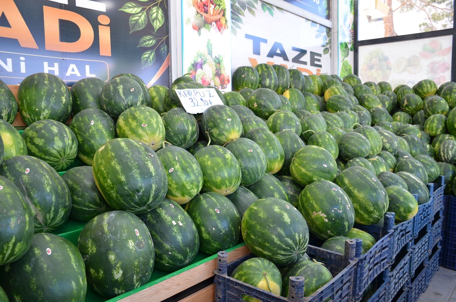Afşin’de “Taze Vadi Mini Hal” Törenle Hizmete Açıldı (5)