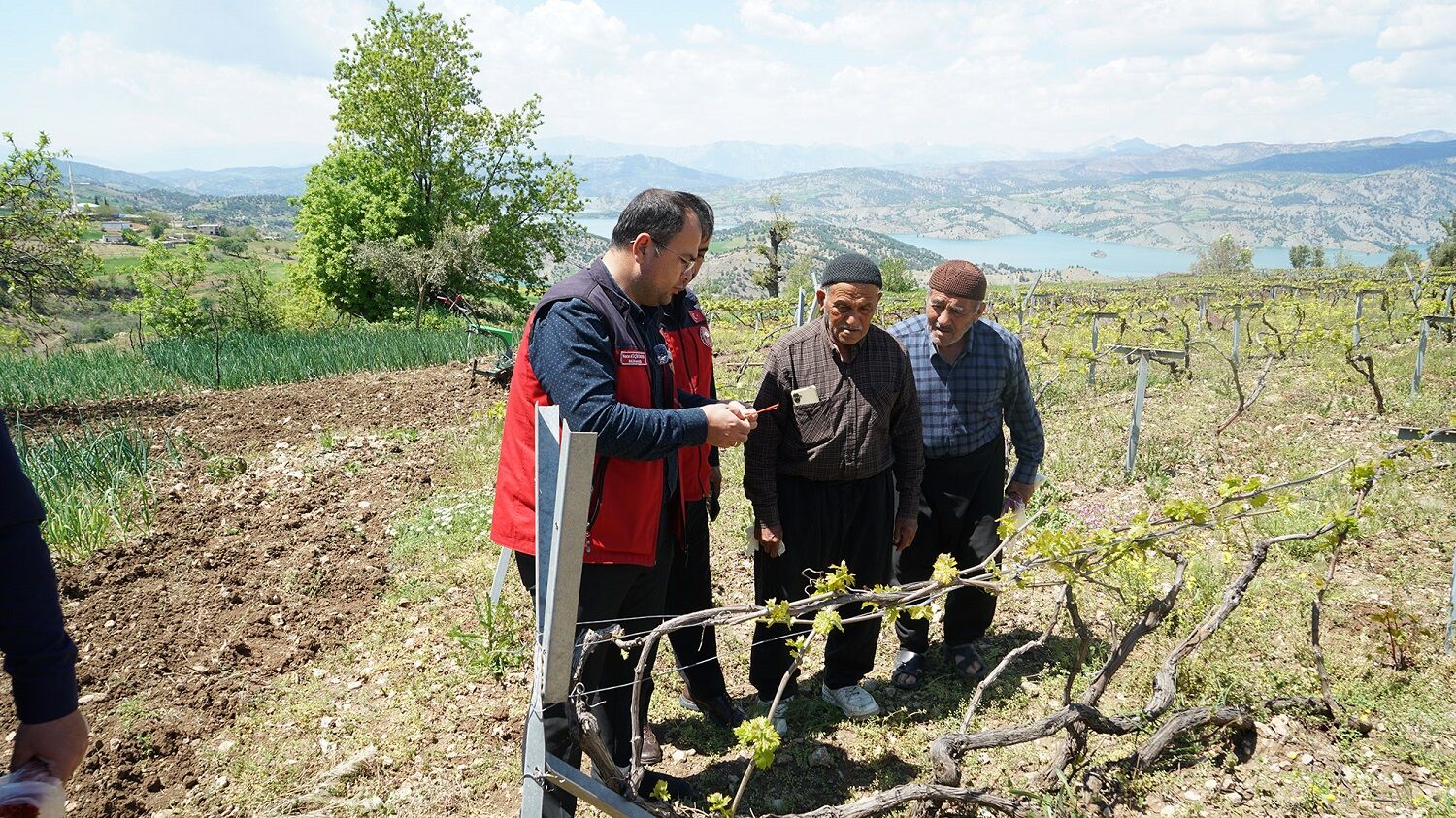 Bertiz’de Kabarcık Üzümüne Doğal Koruma Hamlesi (2)