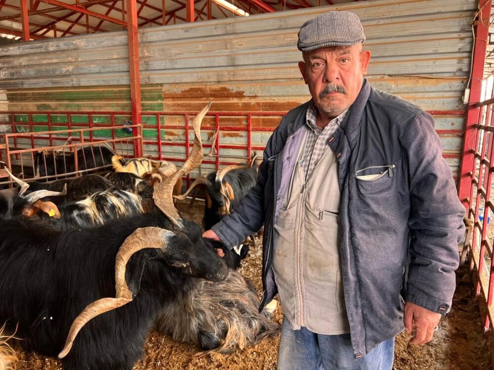 Hayvan Pazarında Sakinlik Hakim 2