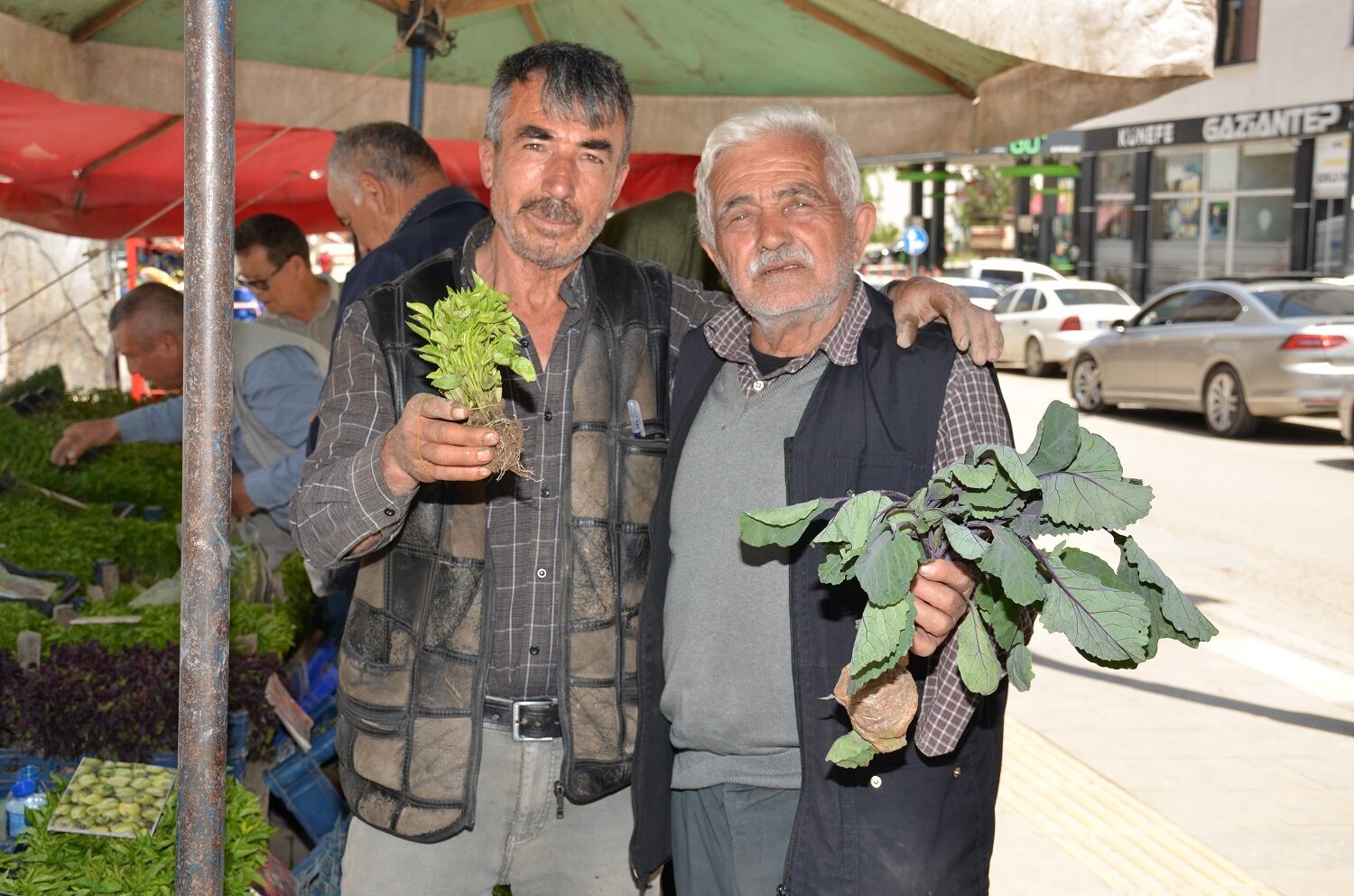 Afşin’de Fide Sezonu Başladı