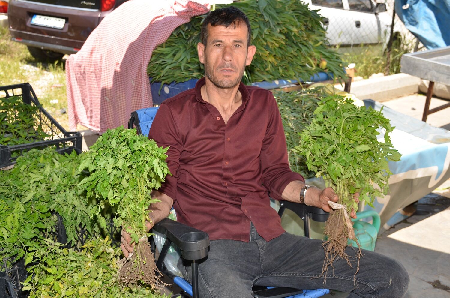 Afşin’de Fide Sezonu Başladı