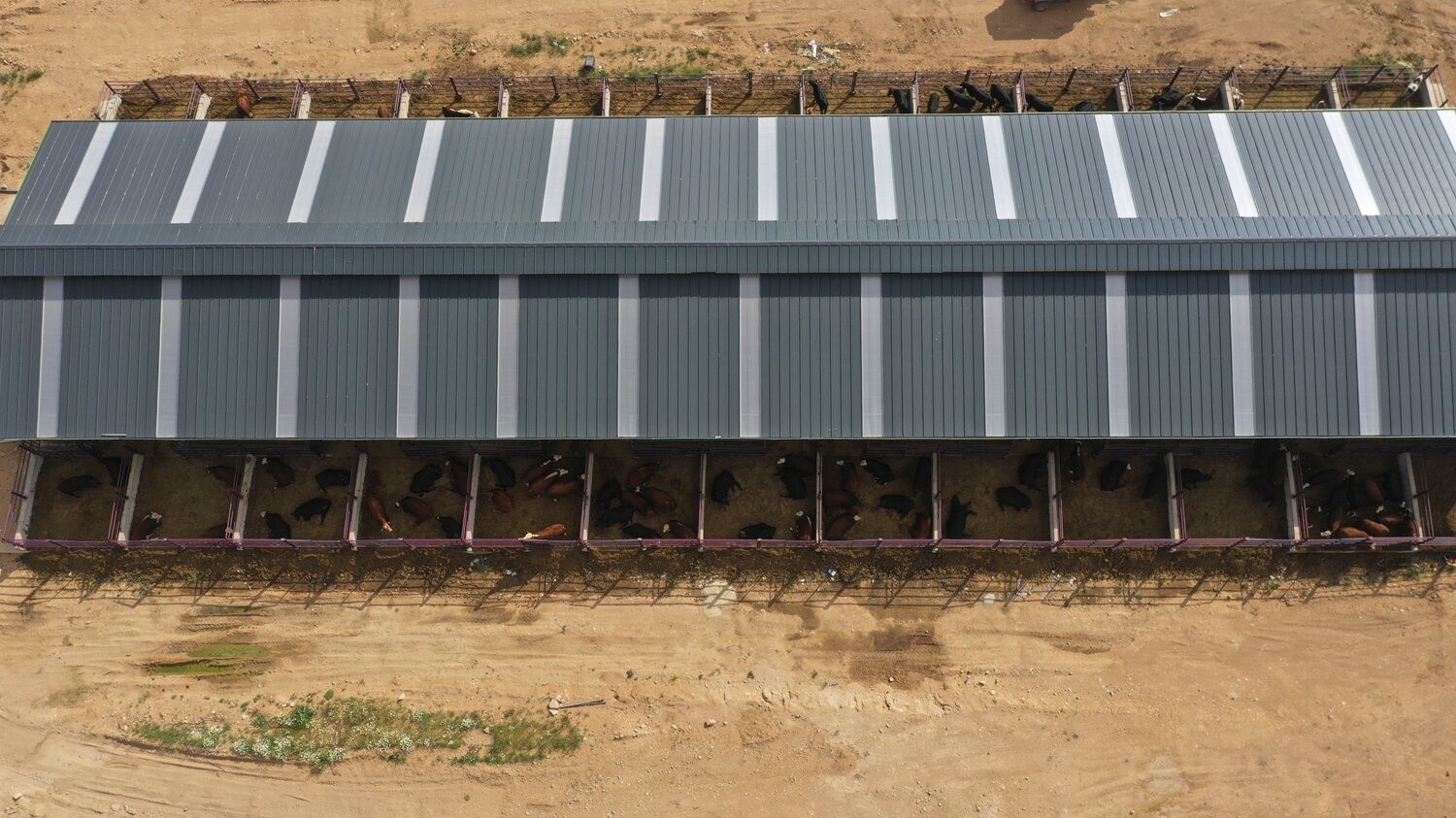 Elbistan’da 400 Bin Euroluk Dev Yatırım Genç Girişimci Çiftlik Kurdu (6)