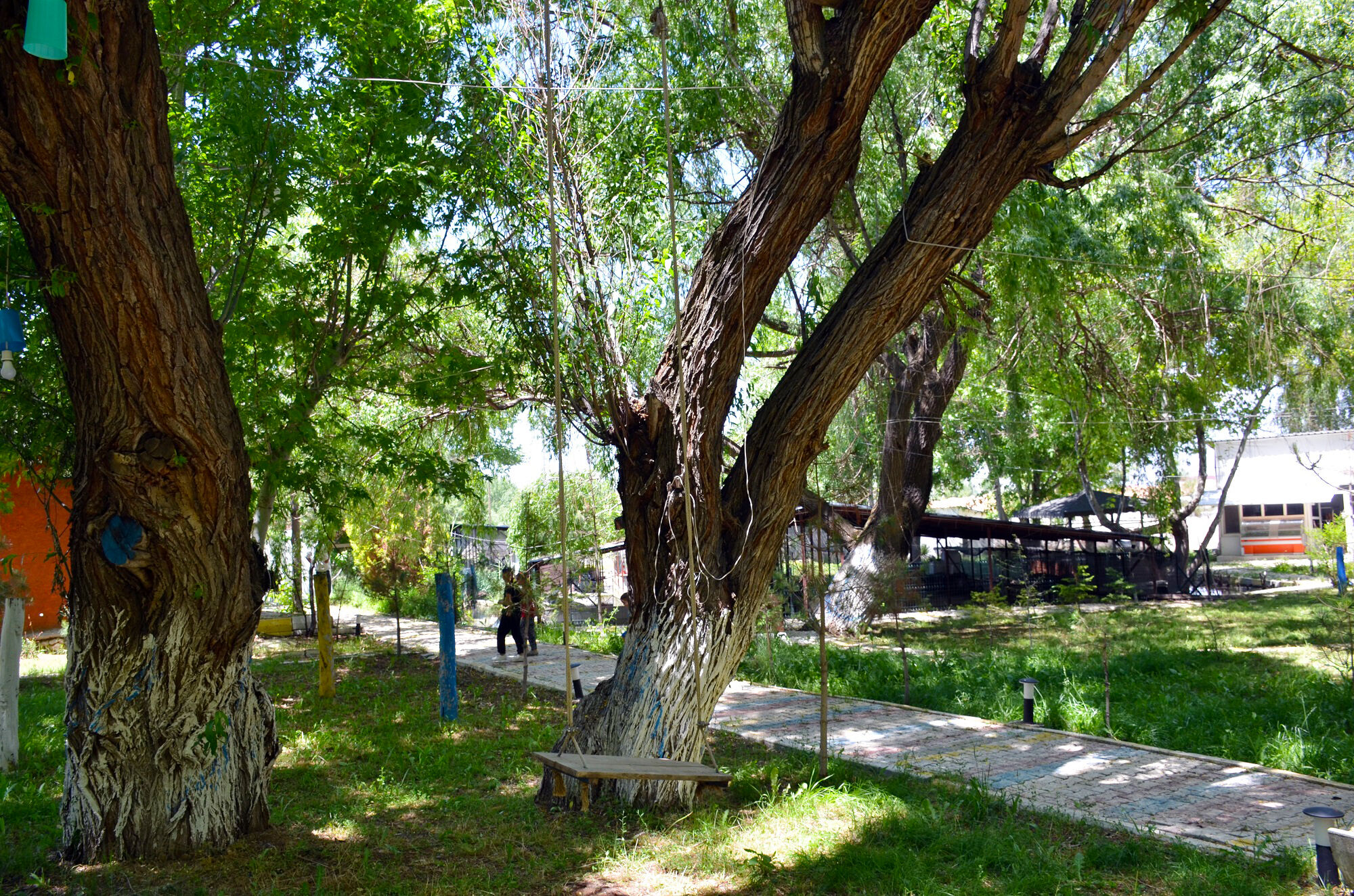 Eşsiz Göl Manzarasıyla Lagün Söğüt Restaurant Hizmete Açıldı (7)
