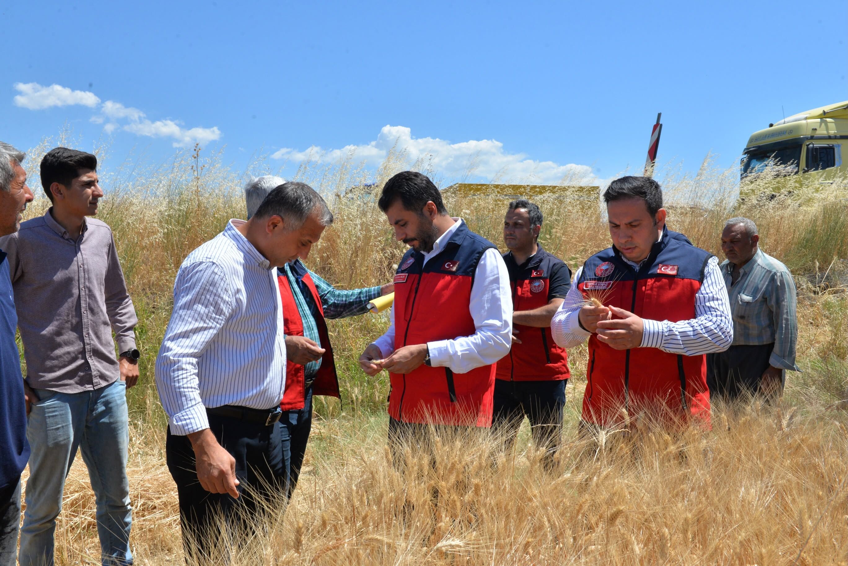 Kahramanmaraş’ta Buğday Hasadı Başladı1