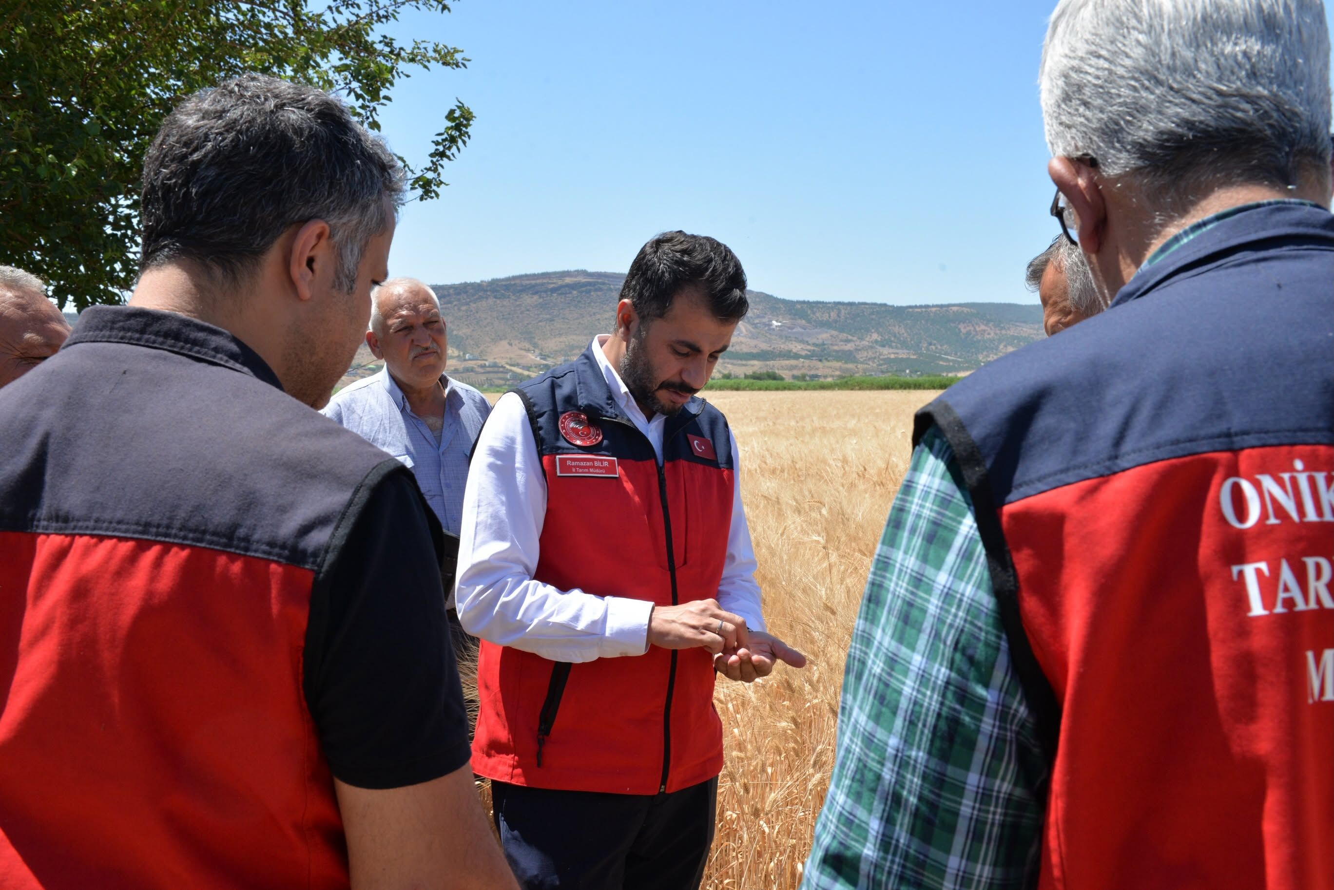 Kahramanmaraş’ta Buğday Hasadı Başladı3