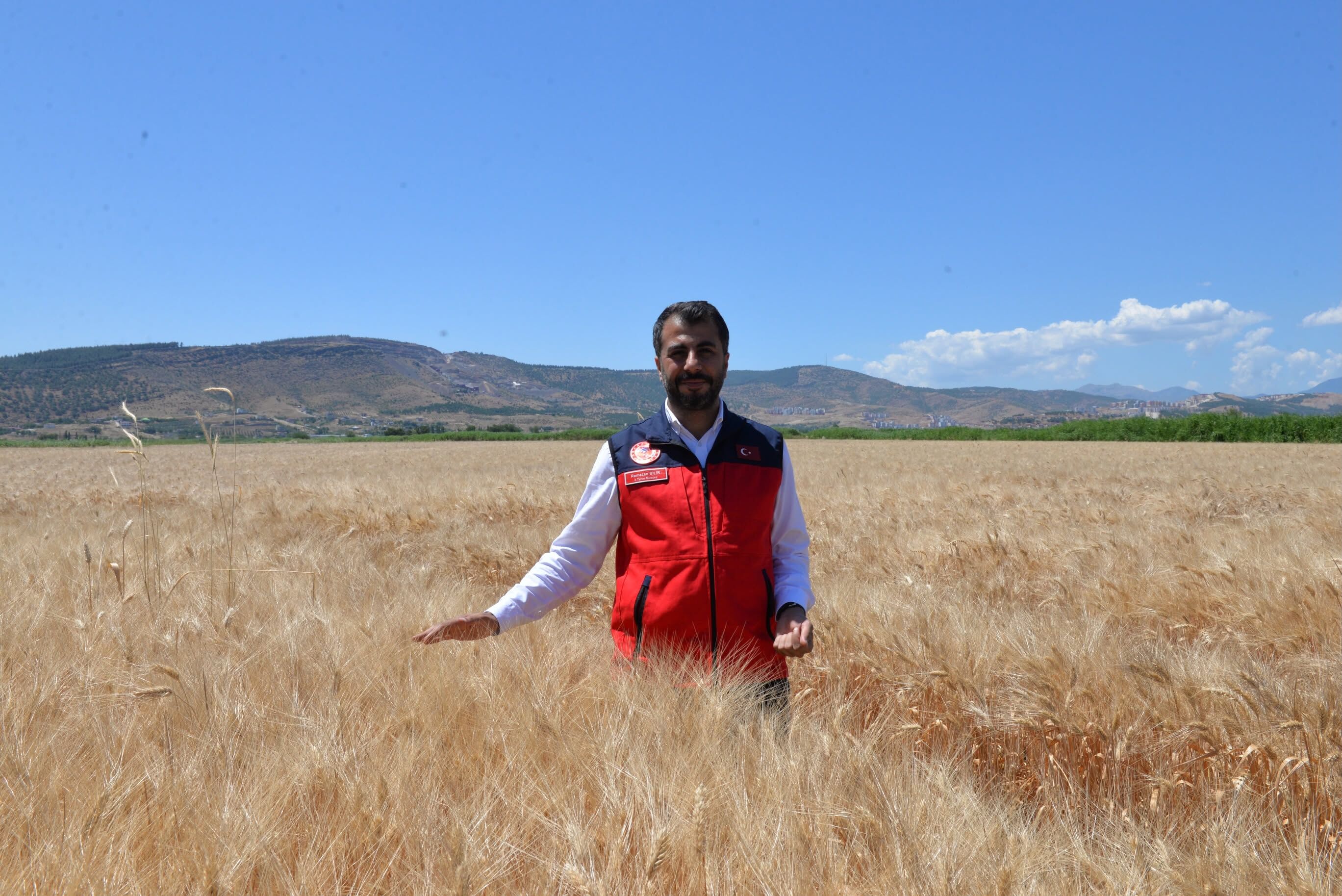Kahramanmaraş’ta Buğday Hasadı Başladı7