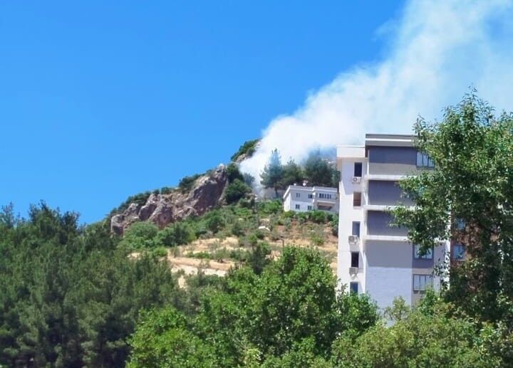 Kahramanmaraş'ta Orman Yangını Kısa Sürede Söndürüldü (1)