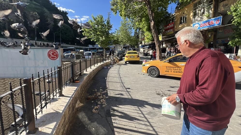 Kahramanmaraş'ta Taksici Esnafının Yol Arkadaşı Güvercinler 4