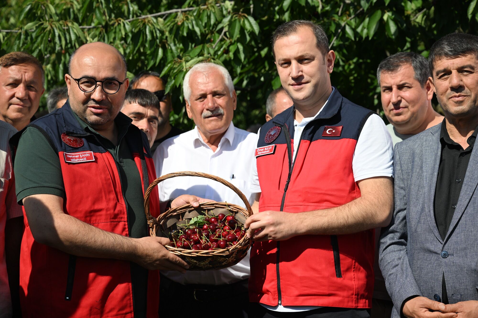 1600 Rakımda Yetişiyor, Avrupa'ya İhraç Ediliyor Çığşar Kirazı Göz Dolduruyor (1)