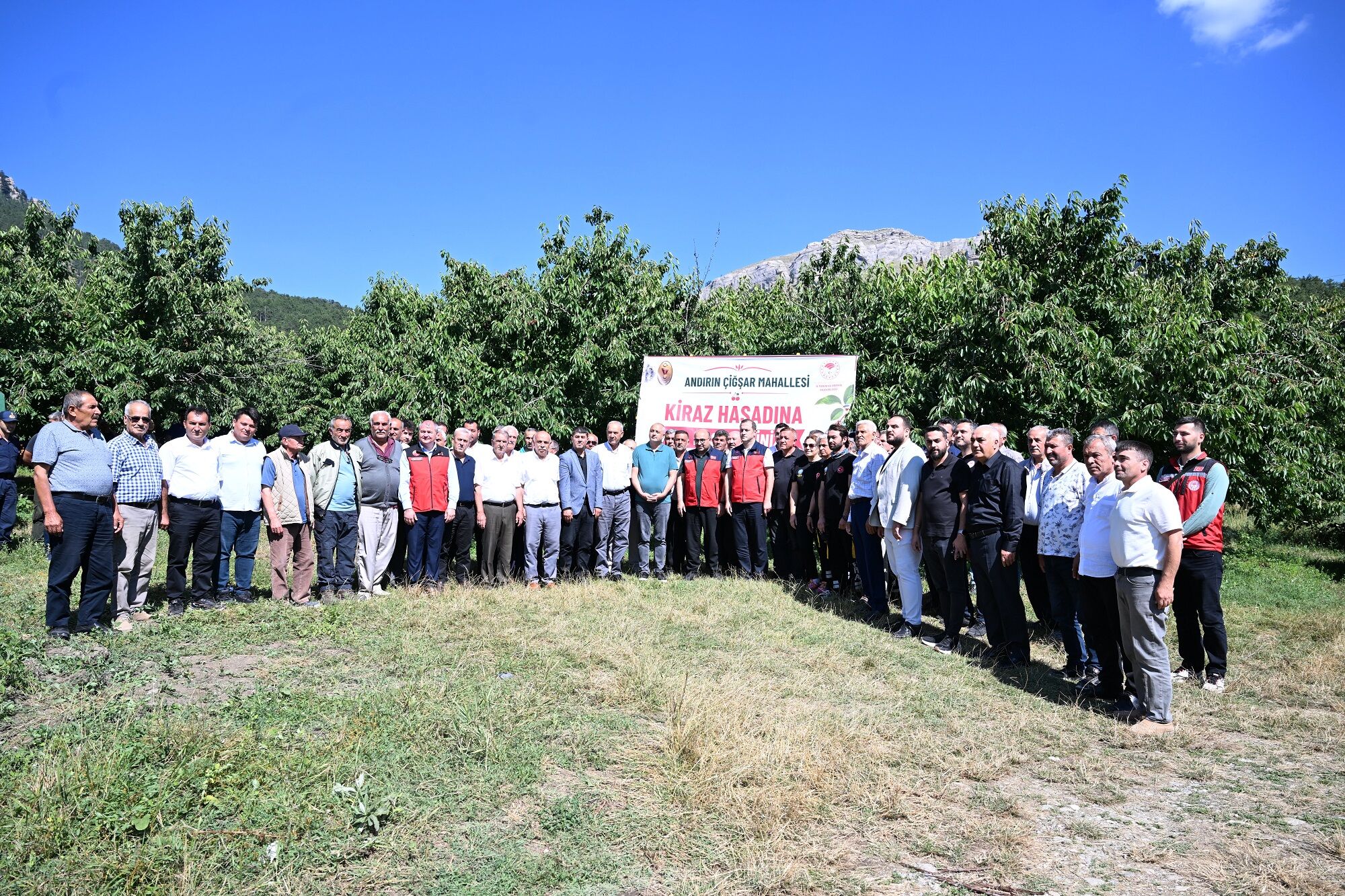1600 Rakımda Yetişiyor, Avrupa'ya İhraç Ediliyor Çığşar Kirazı Göz Dolduruyor (4)