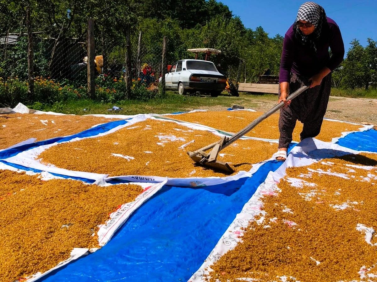 İmece Geleneği Sürüyor Bulgur Kazanları Yeniden Yandı (1)